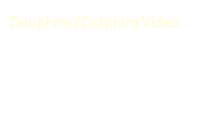 Dauphins/DolphinsVideo
